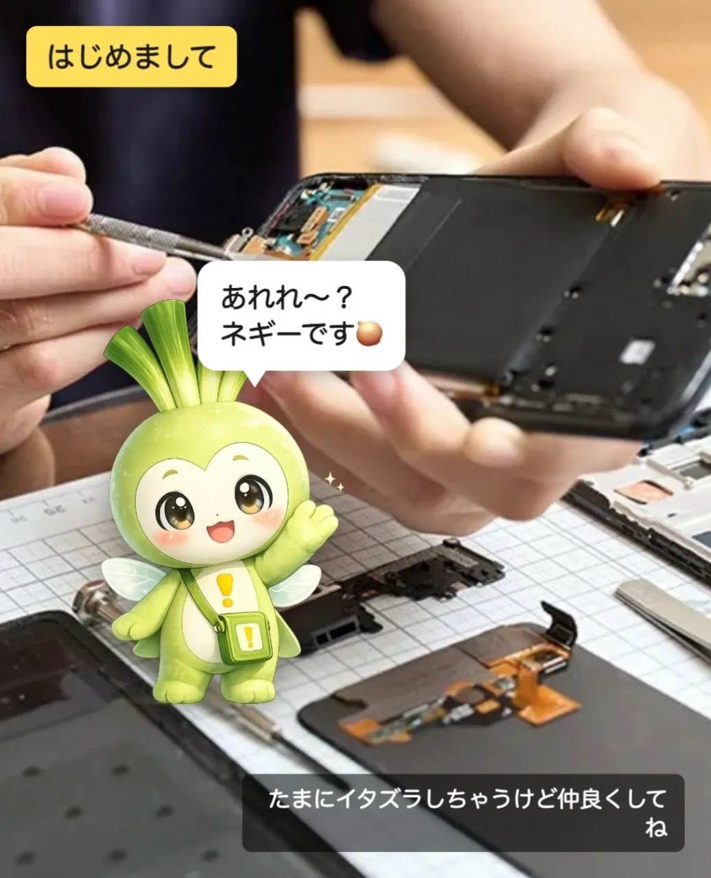 あれれ〜？はじめまして、